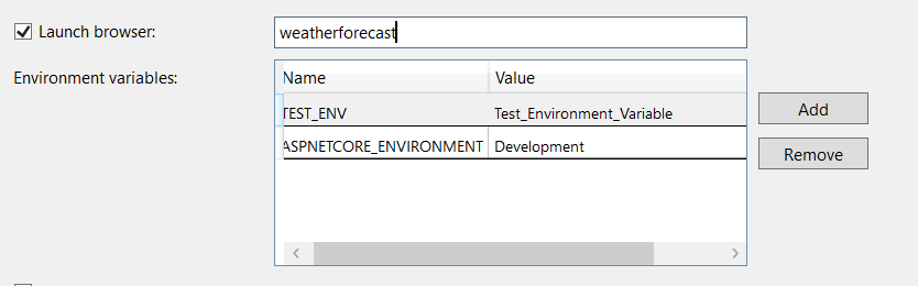 environment variable